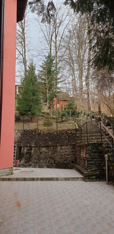 Rosa Villa Băile Olăneşti Esterno foto