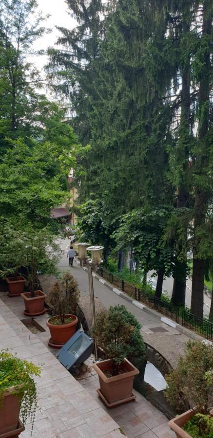 Rosa Villa Băile Olăneşti Esterno foto