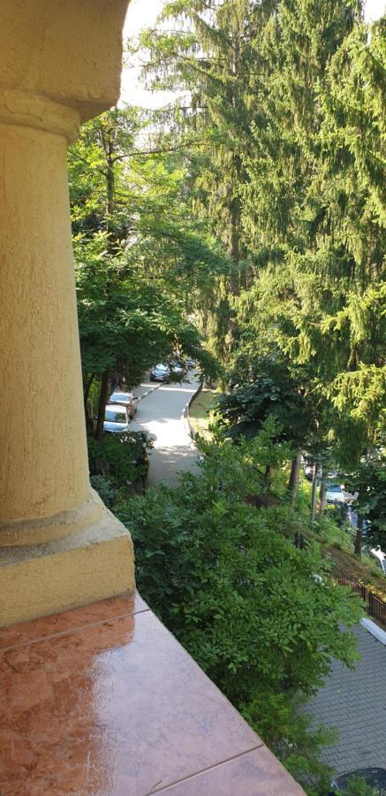 Rosa Villa Băile Olăneşti Esterno foto