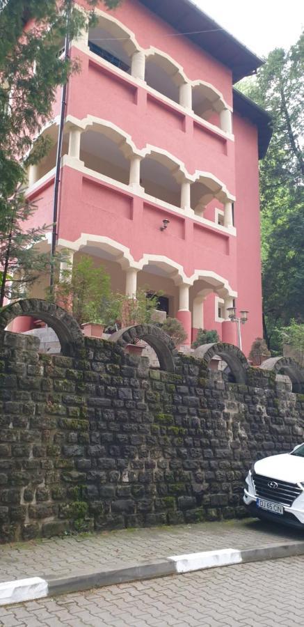 Rosa Villa Băile Olăneşti Esterno foto